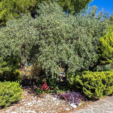 Apartman Litsa *